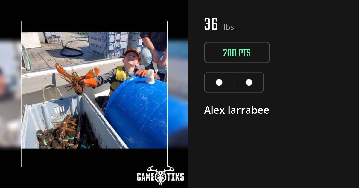 Miscellaneous harvest on Gametiks