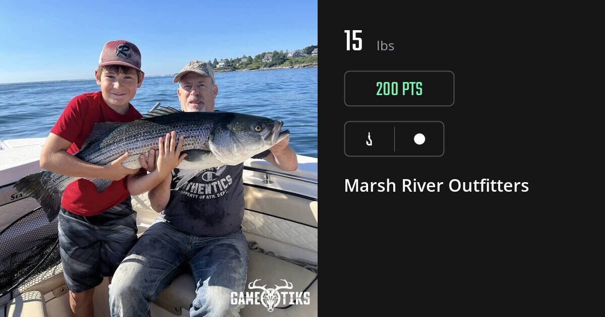 Miscellaneous harvest on Gametiks