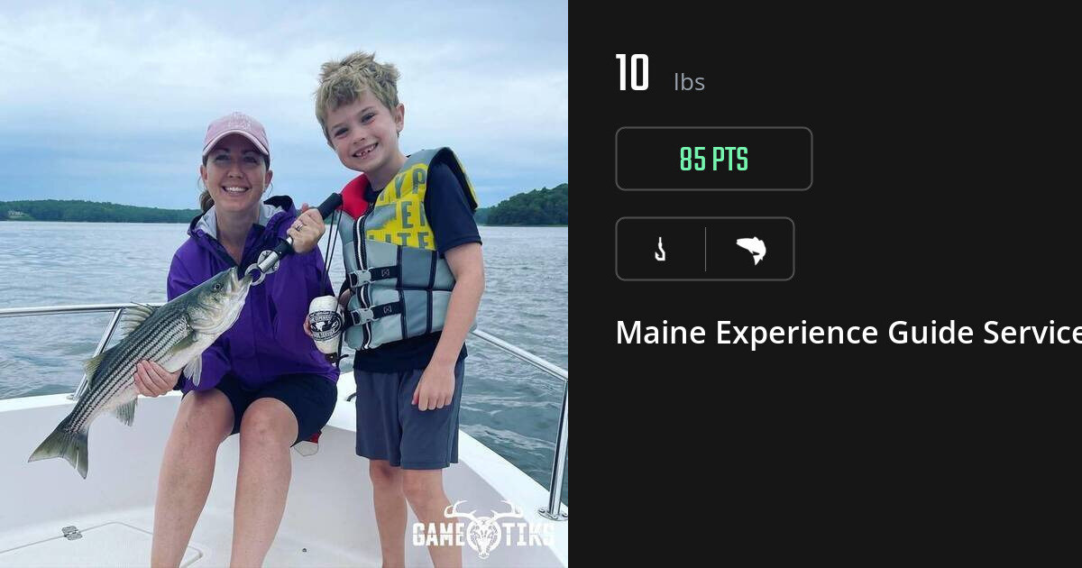 Saltwater fish harvest on Gametiks
