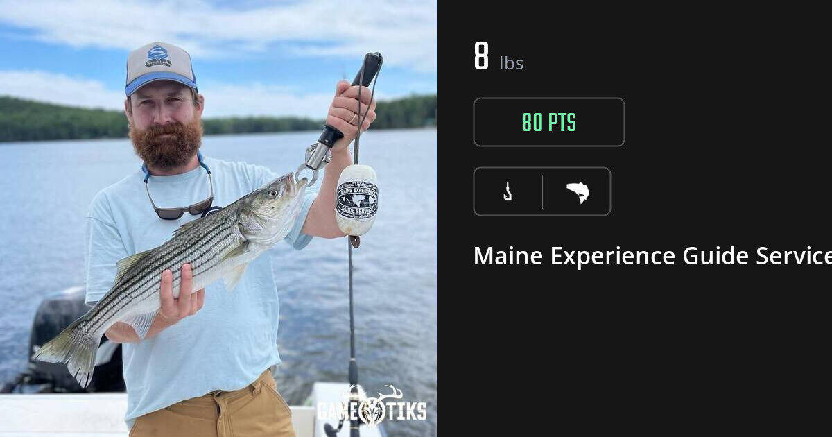 Saltwater fish harvest on Gametiks