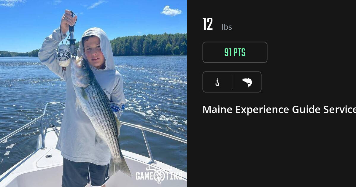 Saltwater fish harvest on Gametiks