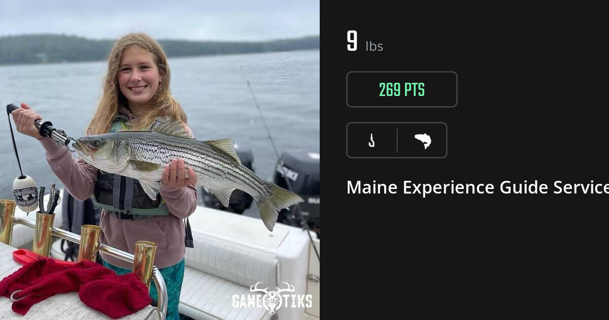 Saltwater fish harvest on Gametiks