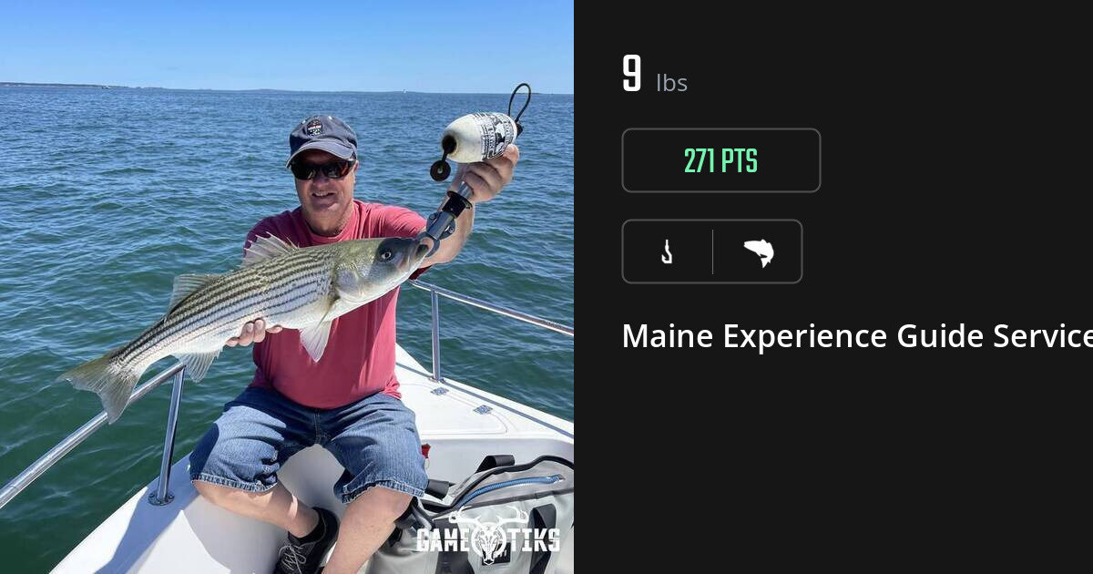 Saltwater fish harvest on Gametiks