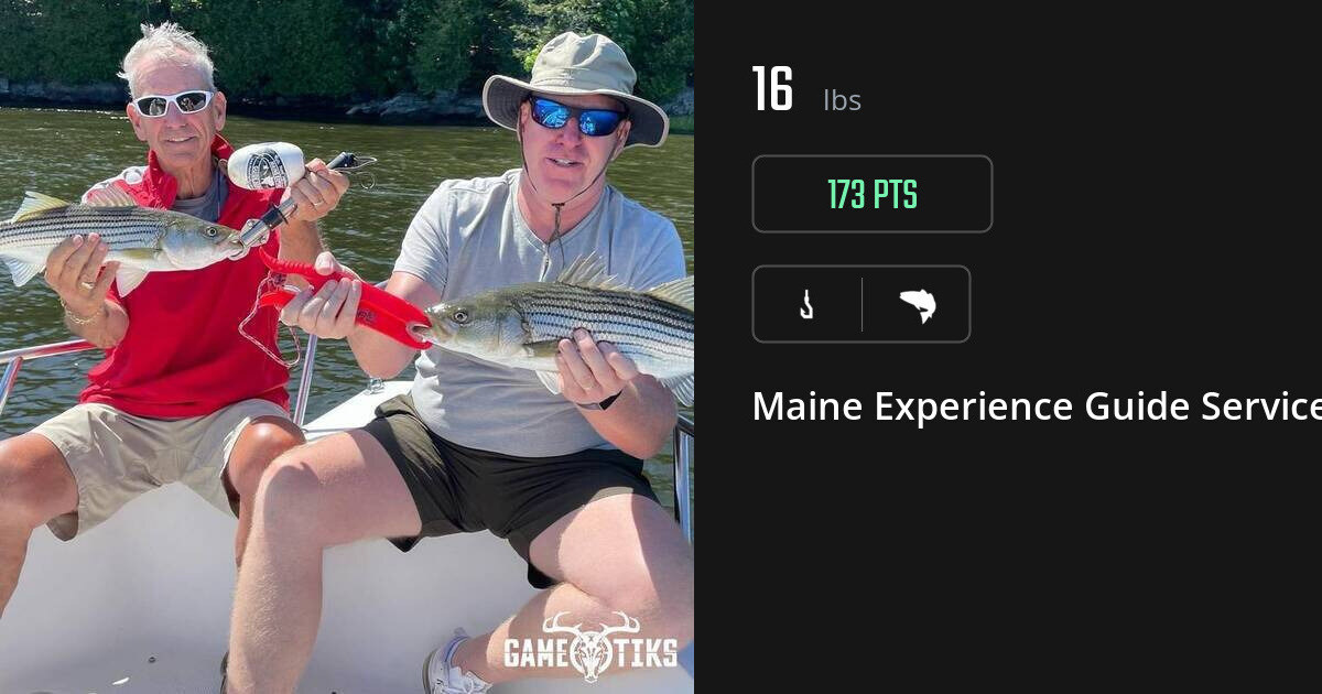 Saltwater fish harvest on Gametiks