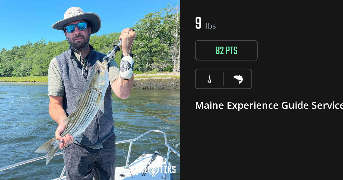 Saltwater fish harvest on Gametiks