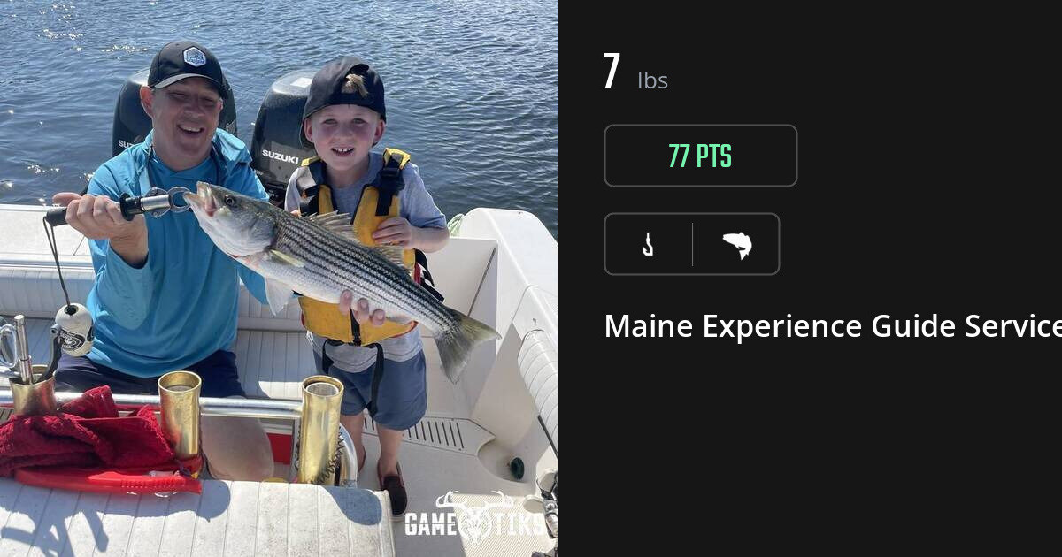 Saltwater fish harvest on Gametiks