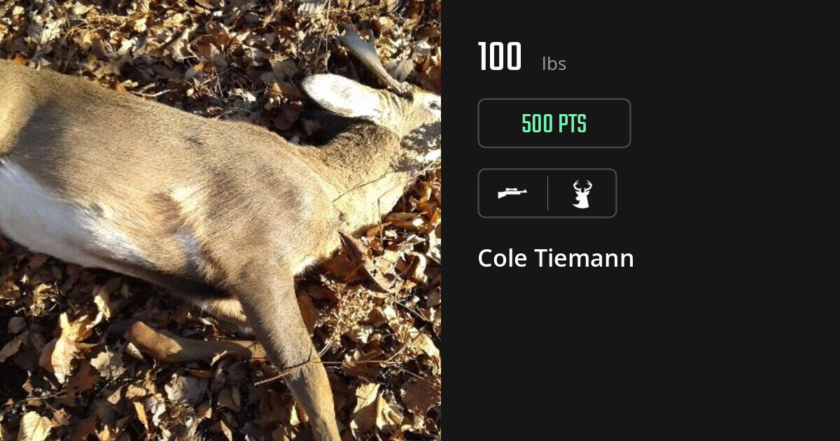 deer harvest by Cole Tiemann