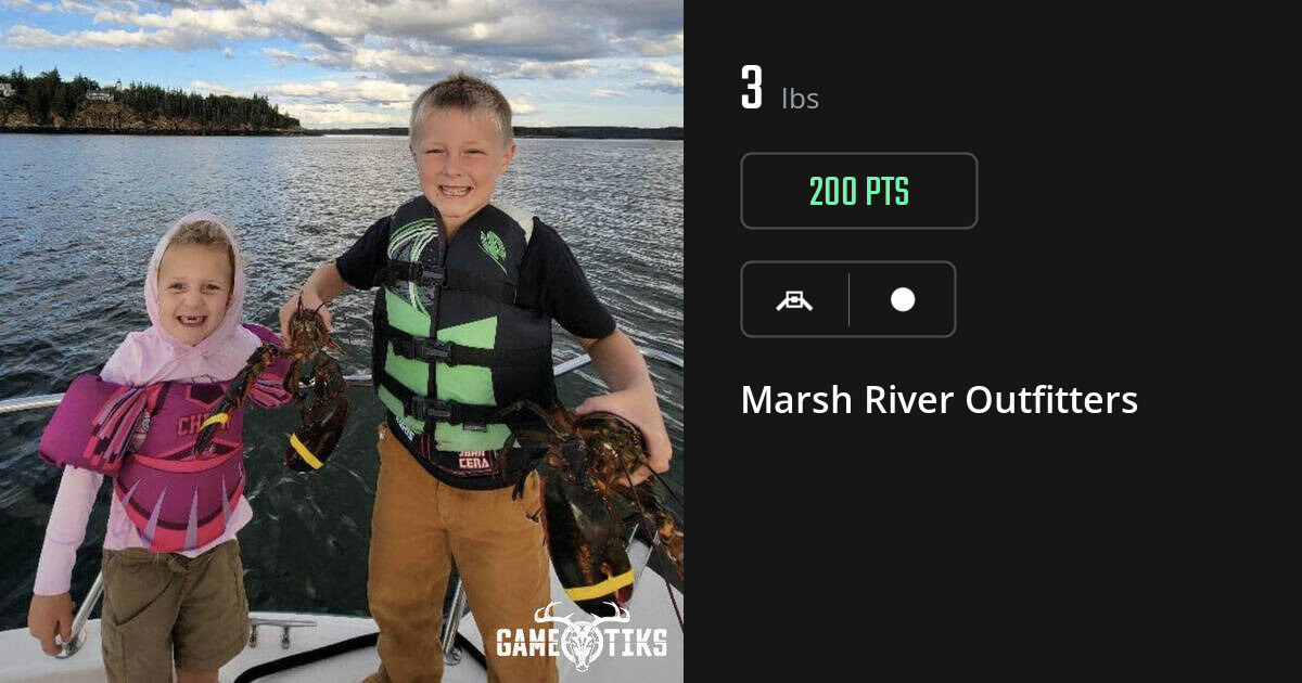 Miscellaneous harvest on Gametiks
