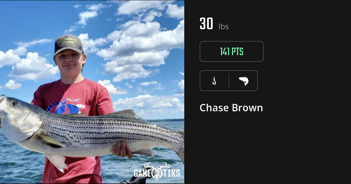 saltwater_fish harvest by Chase Brown