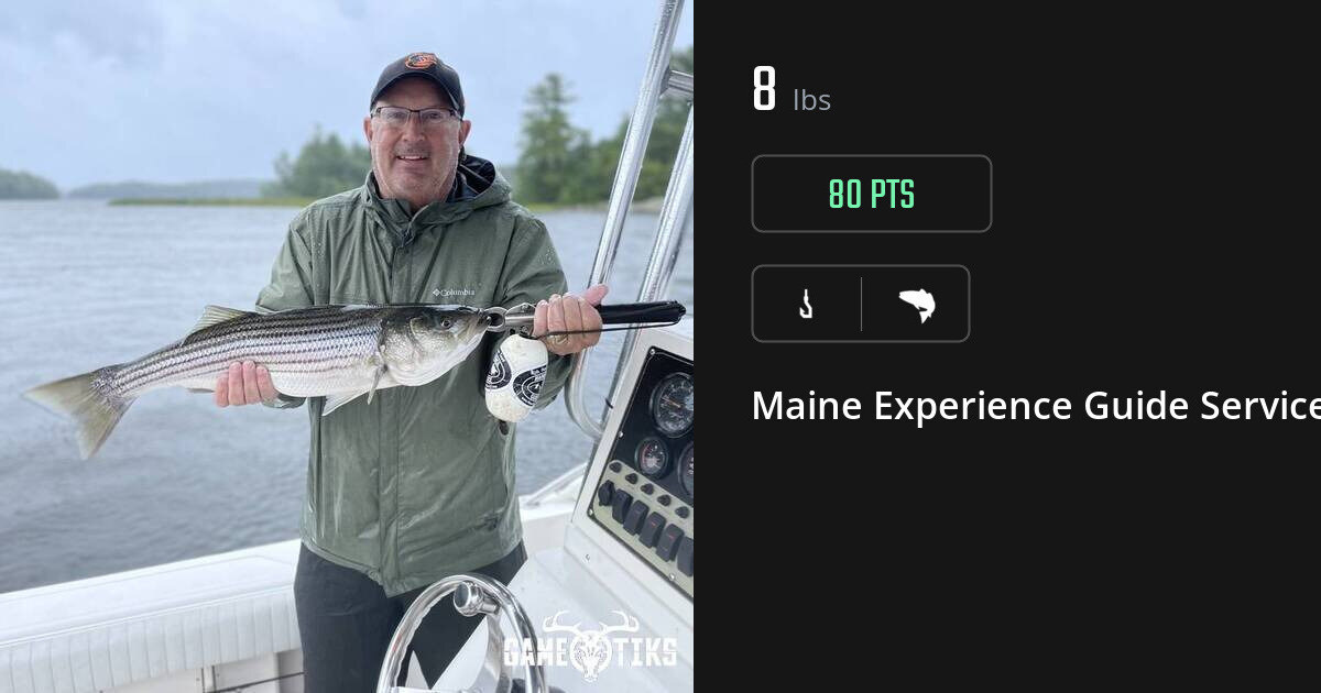 Saltwater fish harvest on Gametiks
