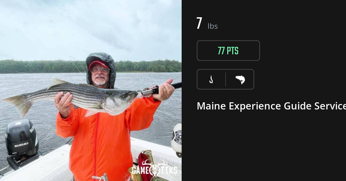 Saltwater fish harvest on Gametiks