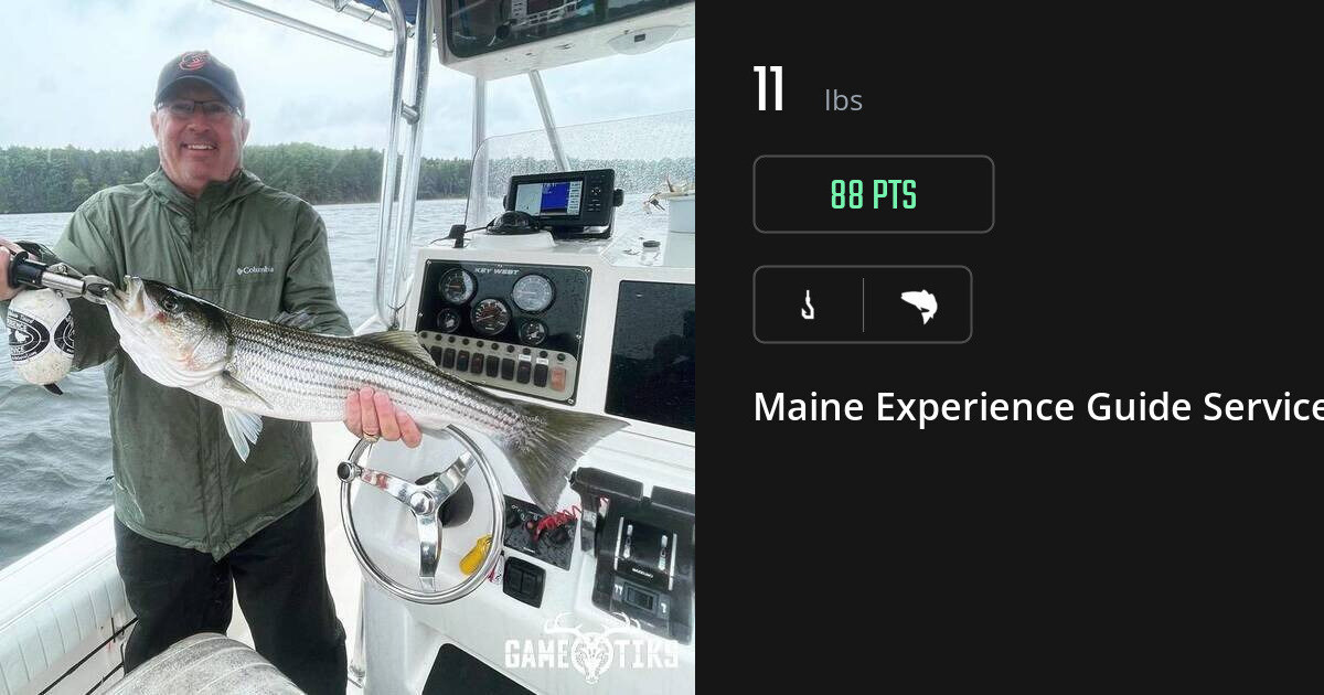 Saltwater fish harvest on Gametiks