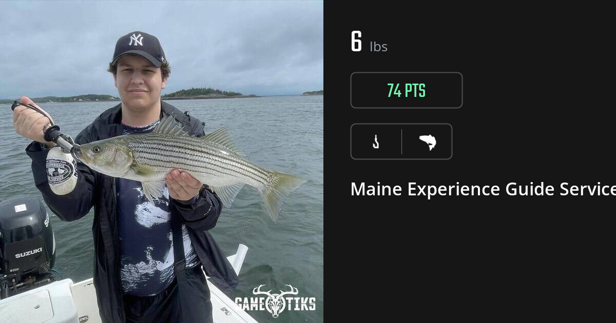Saltwater fish harvest on Gametiks