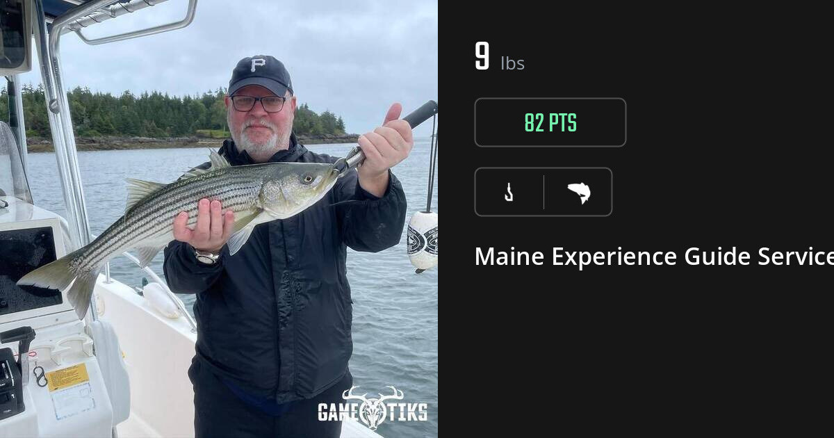 Saltwater fish harvest on Gametiks