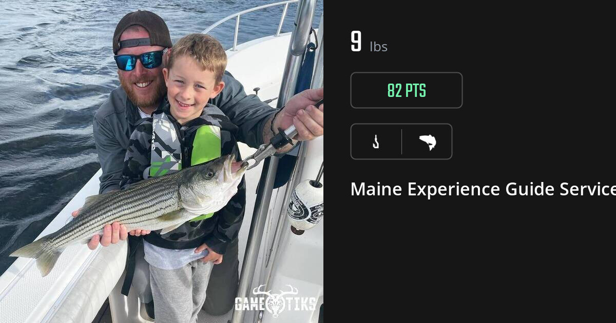 Saltwater fish harvest on Gametiks