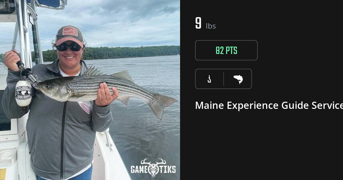 Saltwater fish harvest on Gametiks