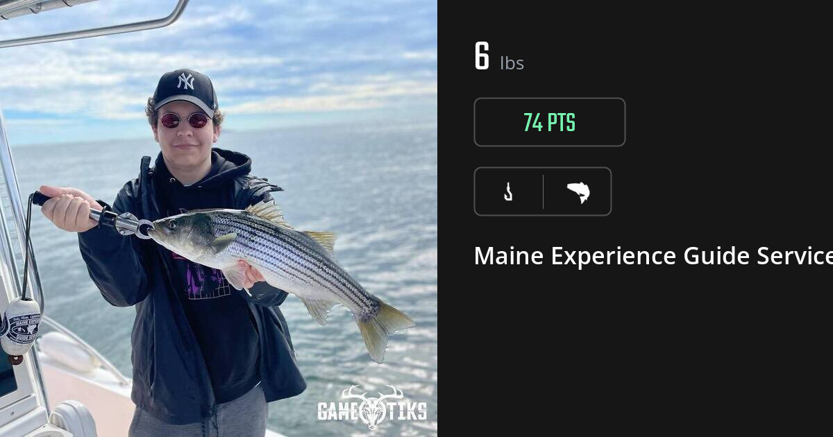Saltwater fish harvest on Gametiks