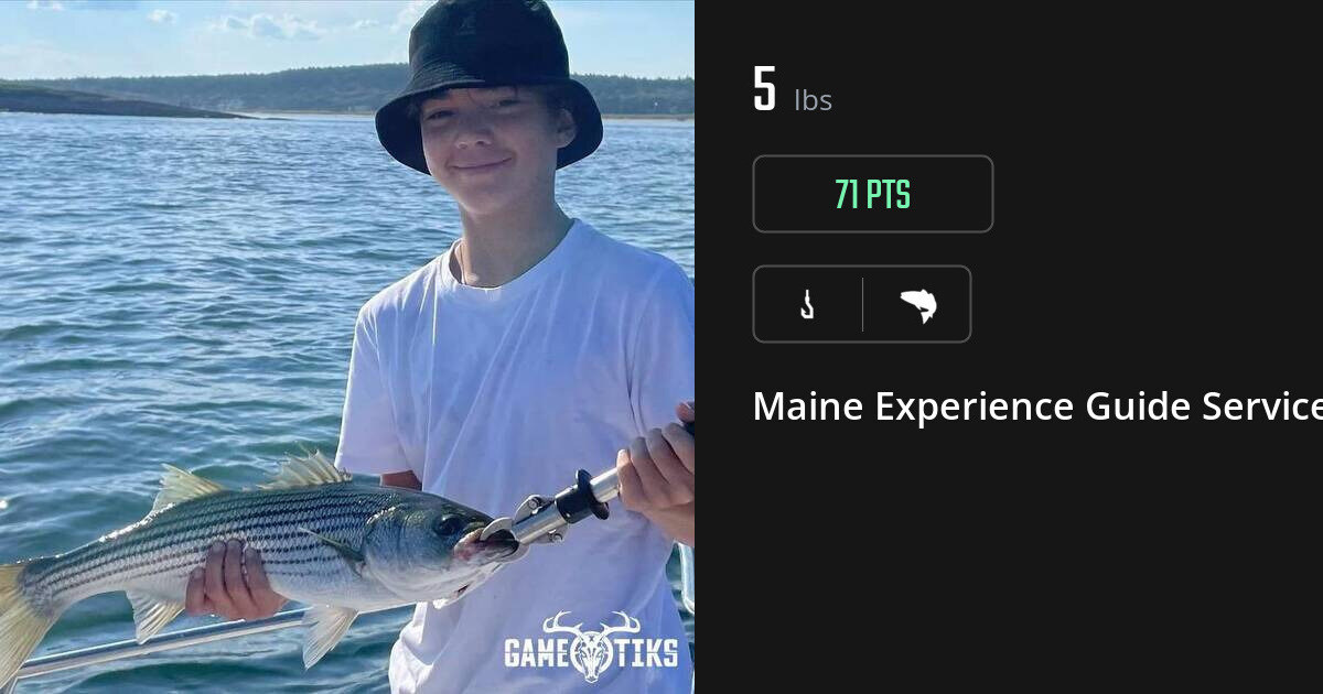 Saltwater fish harvest on Gametiks