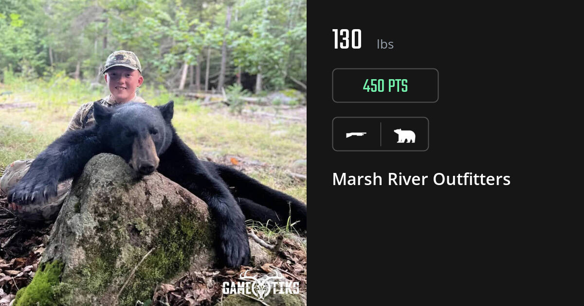 Bear harvest on Gametiks