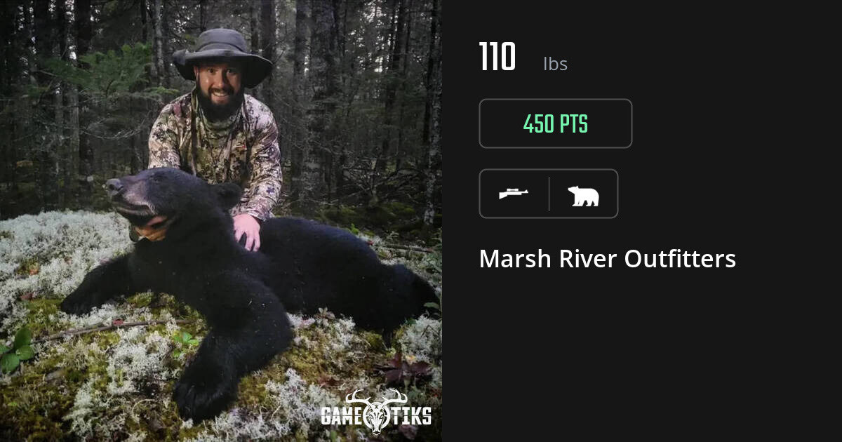 Bear harvest on Gametiks