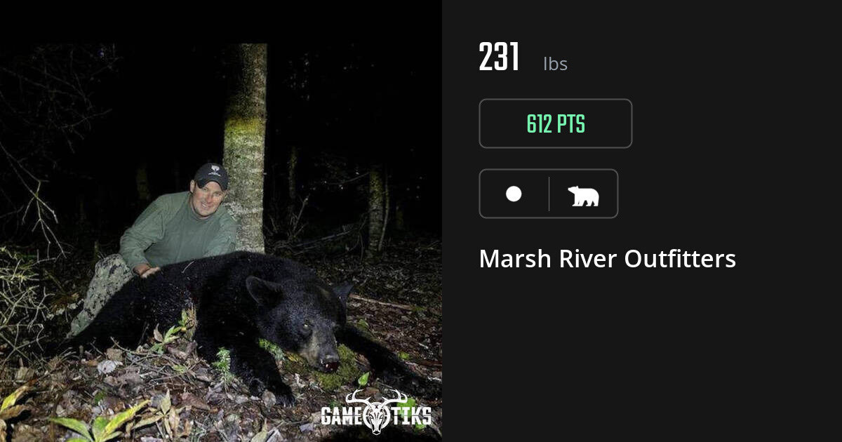 Bear harvest on Gametiks