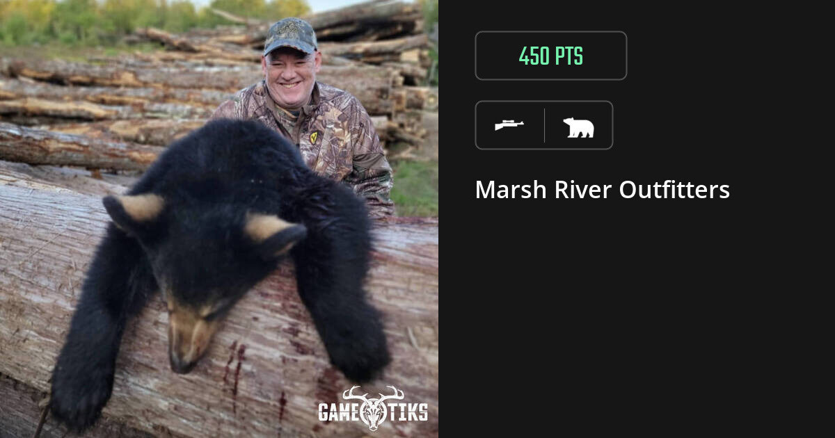 Bear harvest on Gametiks
