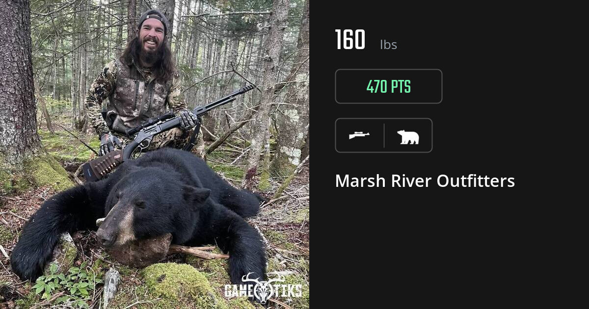 Bear harvest on Gametiks
