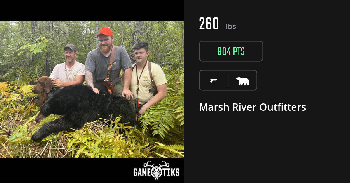 Bear harvest on Gametiks