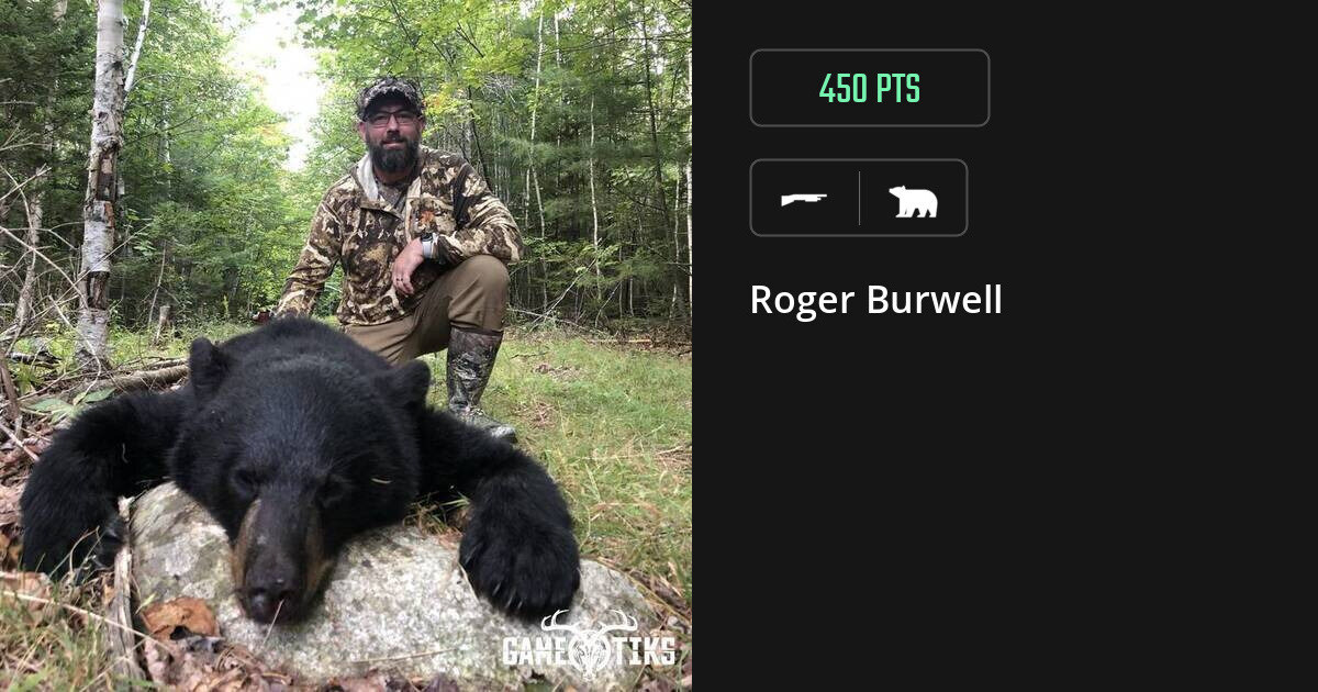 bear harvest by Roger Burwell