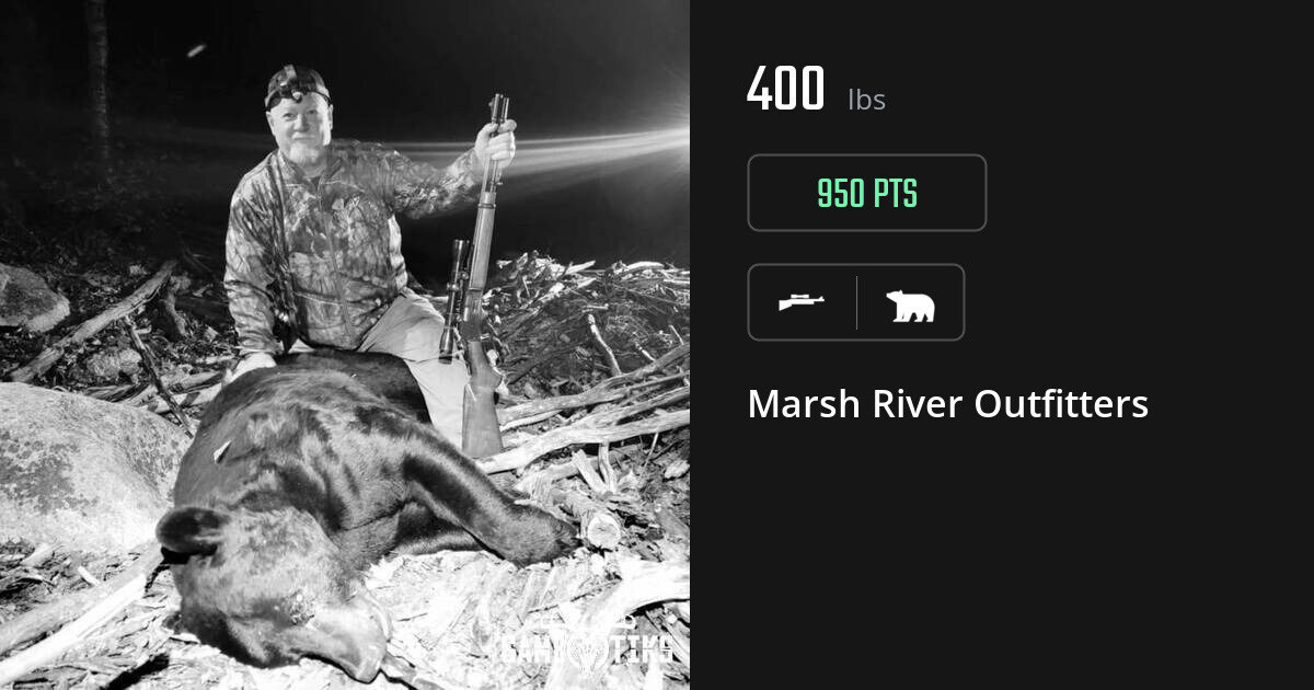 Bear harvest on Gametiks
