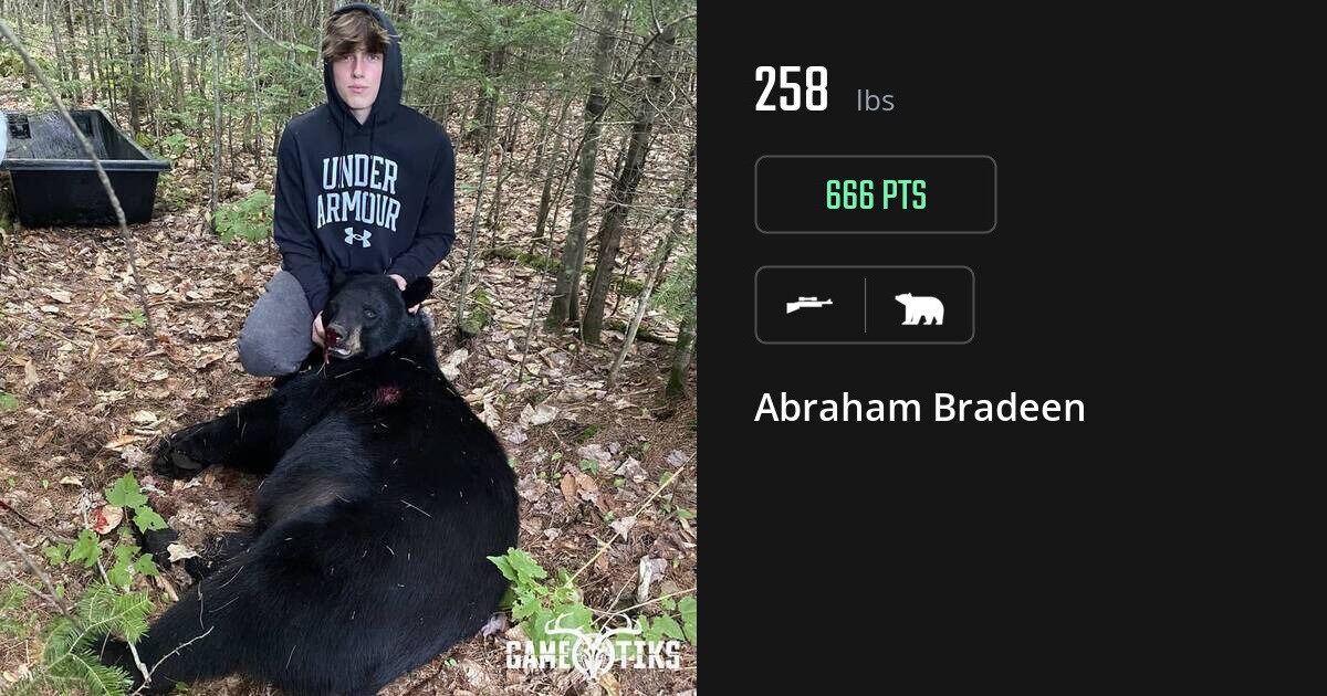 Bear harvest on Gametiks