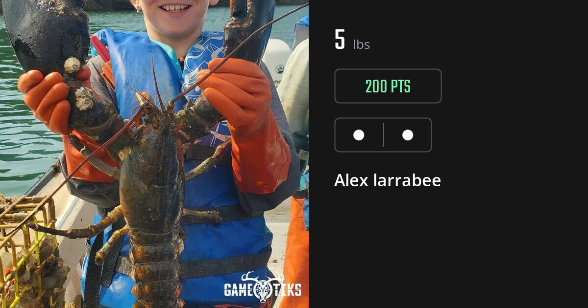 Miscellaneous harvest on Gametiks