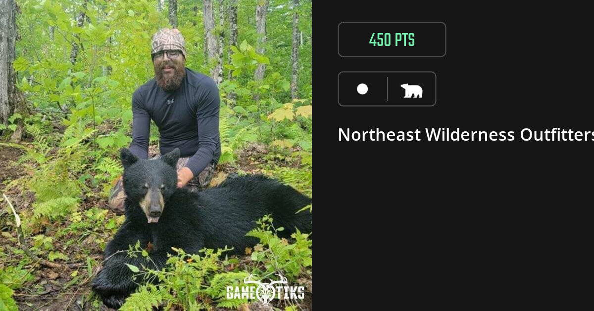 bear harvest by Northeast Wilderness Outfitters