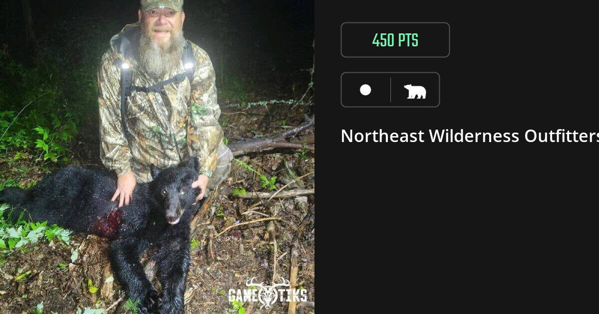 bear harvest by Northeast Wilderness Outfitters