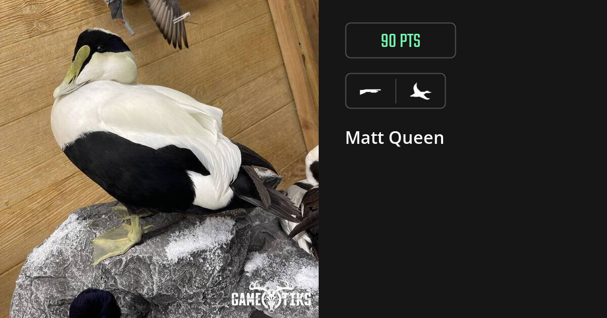 waterfowl harvest by Matt Queen