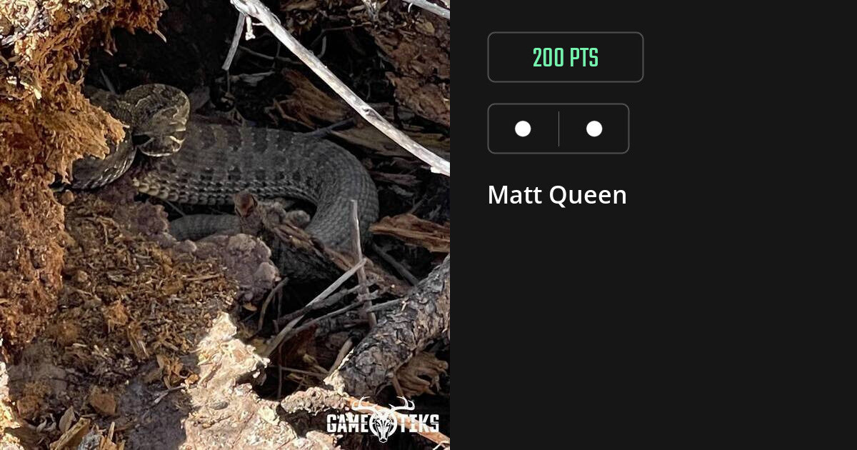 miscellaneous harvest by Matt Queen