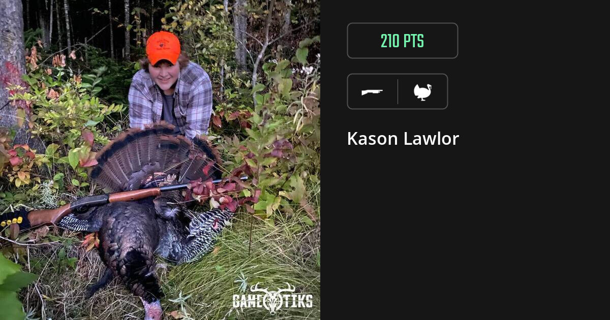 turkey harvest by Kason Lawlor