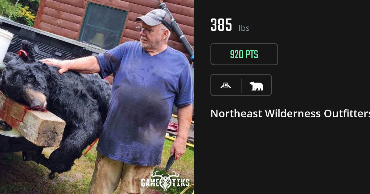 bear harvest by Northeast Wilderness Outfitters