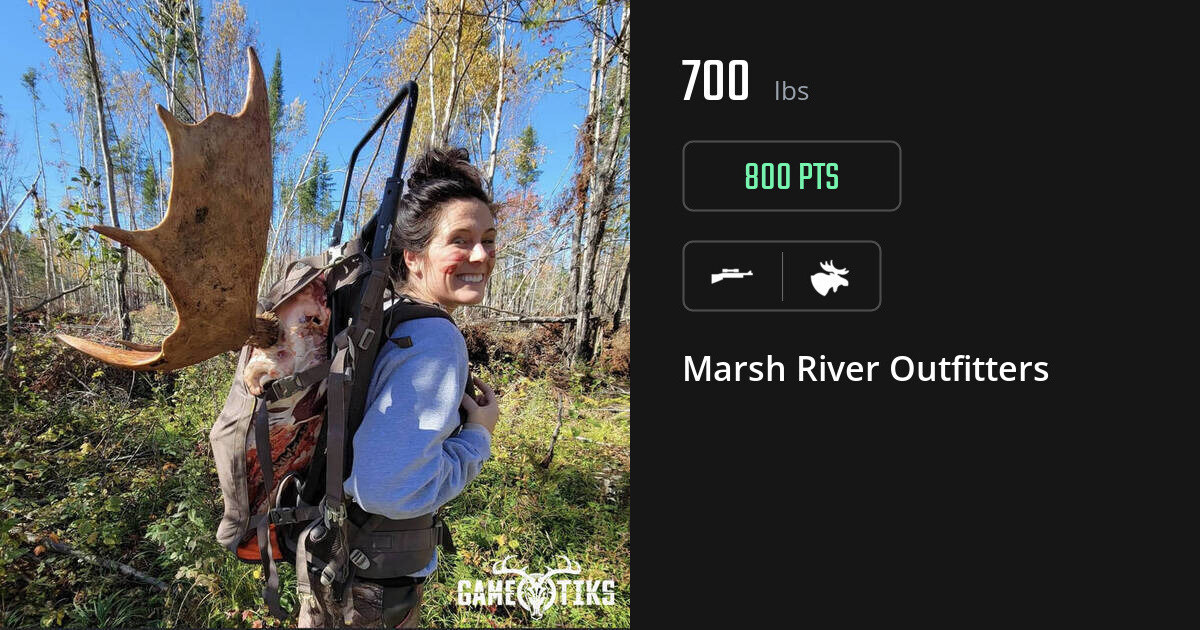 Moose harvest on Gametiks