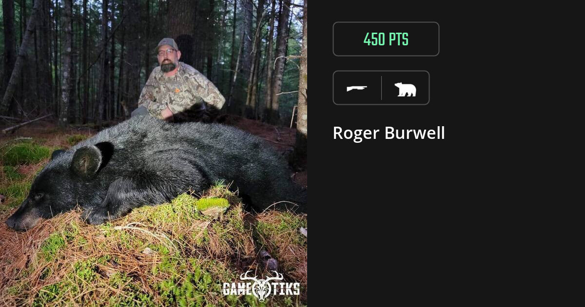 Bear harvest on Gametiks