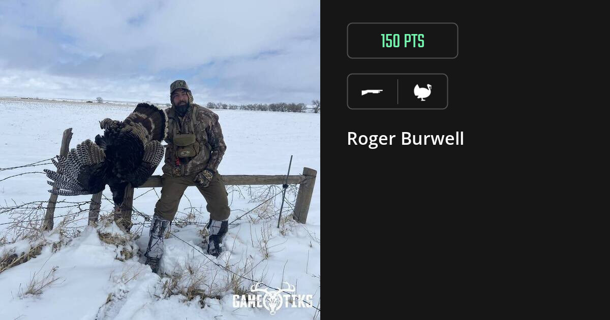 turkey harvest by Roger Burwell