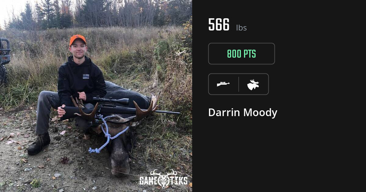 Moose harvest on Gametiks