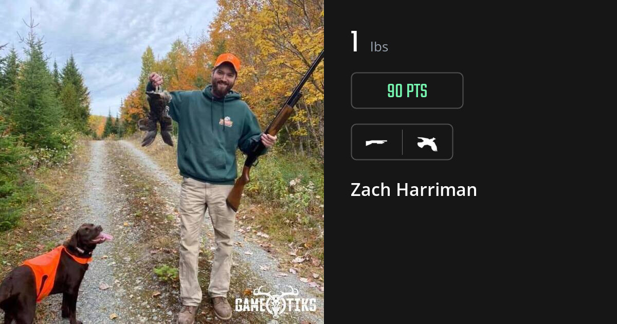Upland bird harvest on Gametiks