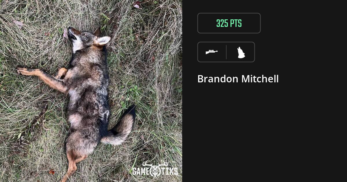 canine harvest by Brandon Mitchell