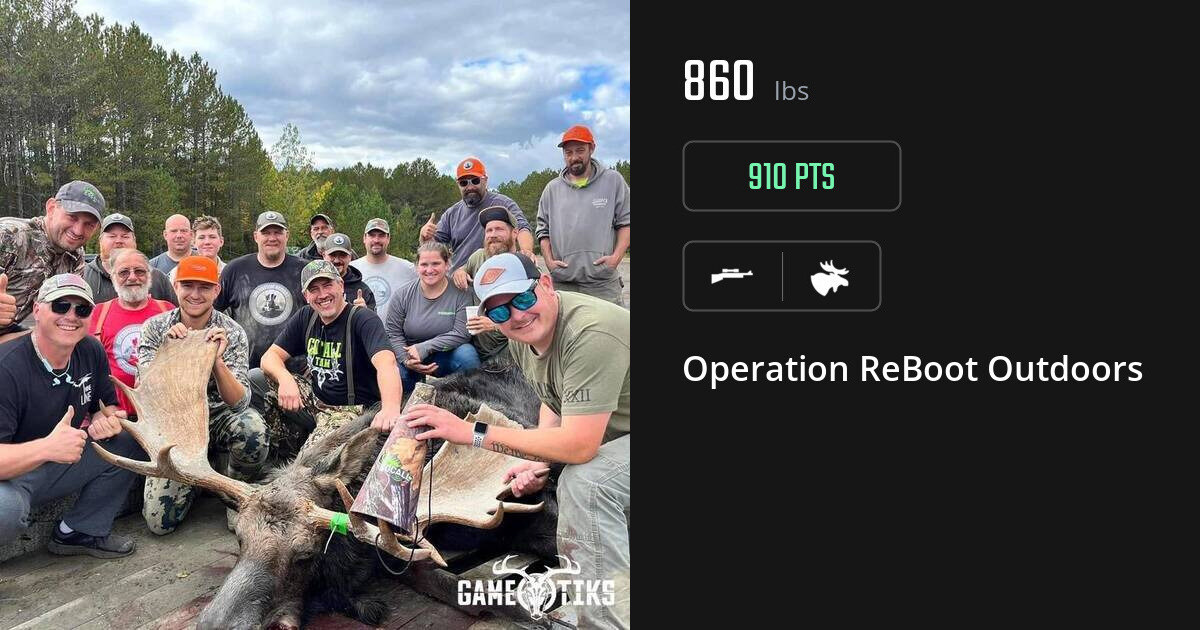 Moose harvest on Gametiks