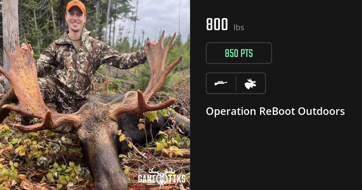 Moose harvest on Gametiks