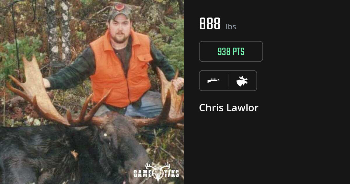 Moose harvest on Gametiks