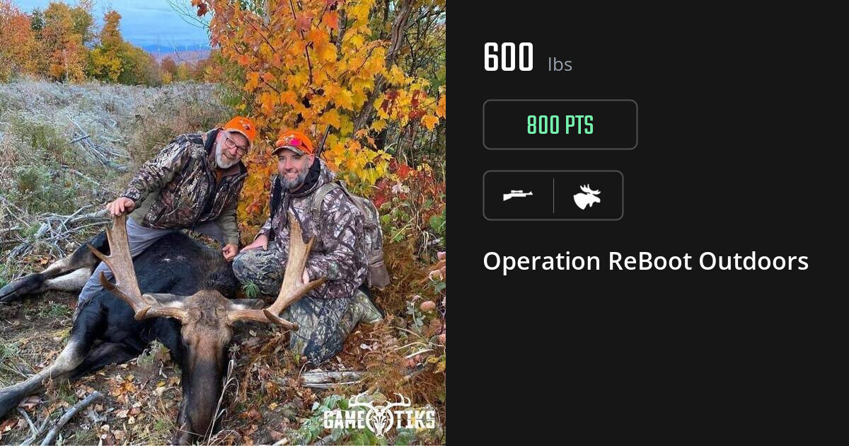 Moose harvest on Gametiks