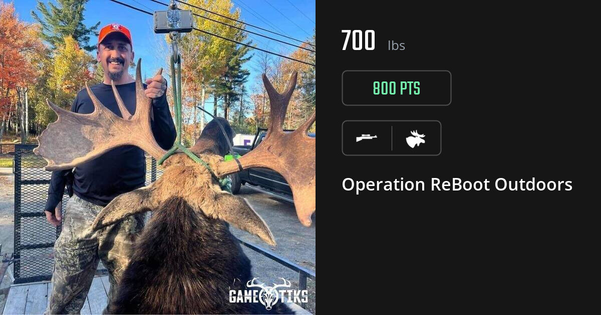 Moose harvest on Gametiks