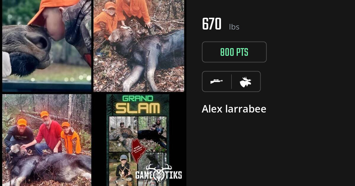 Moose harvest on Gametiks